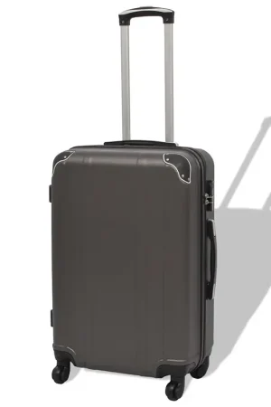 4 Pz. Set di Trolley Rigidi Antracite 91195 Professionale