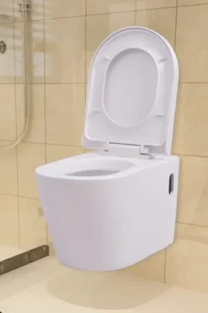 WC Sospeso in Ceramica Bianca 244270 Reso Gratuito