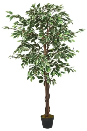 Albero di Ficus Artificiale 1008 Foglie 180 cm Verde 359028 Spedizione Espresso